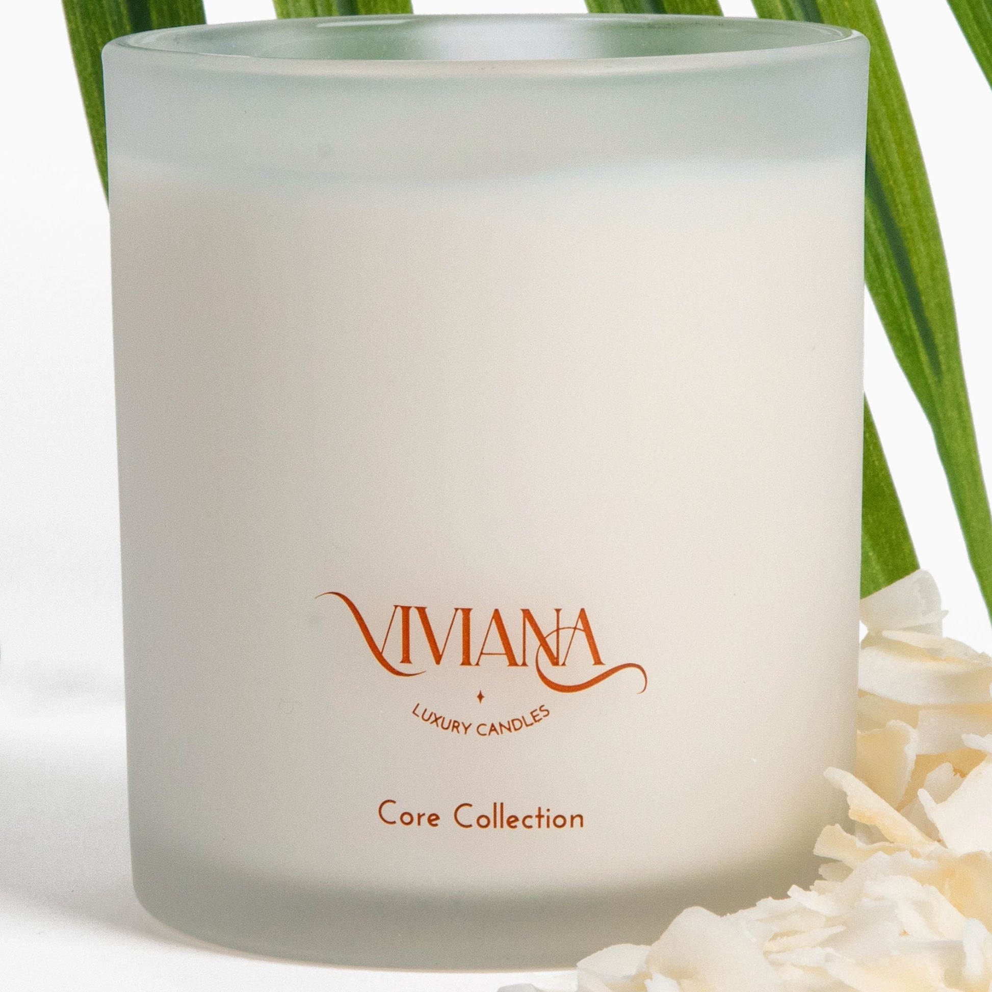 White Sage | Wood Wick Candle with Natural Coconut Wax Standard 8 oz